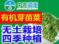 中農藍天有機芽苗菜