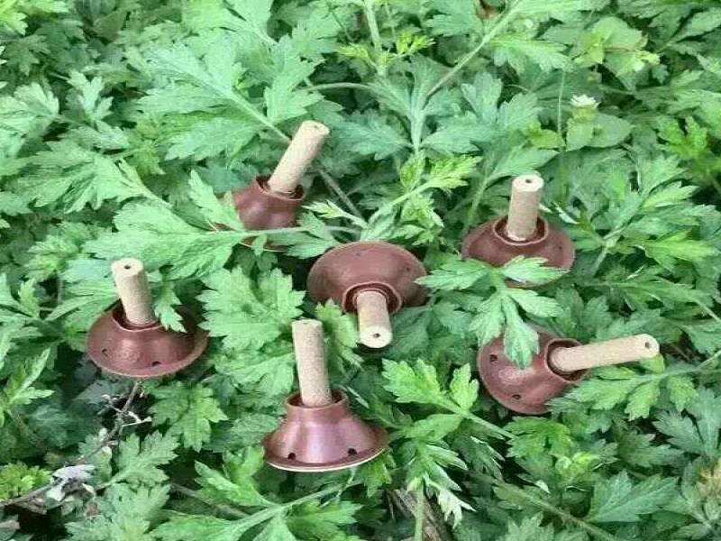 中艾艾貼養生館