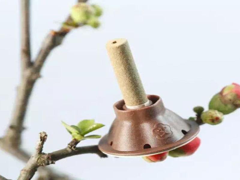 中艾艾貼養生館