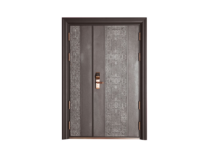 丁丁掌門無孔智能門