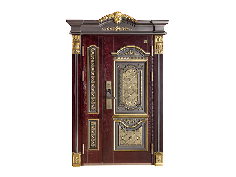 丁丁掌門無孔智能門