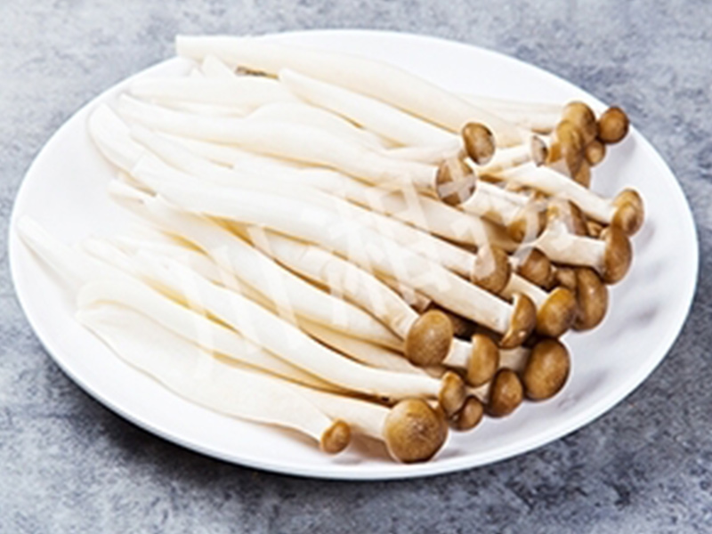 川湘撈噴泉火鍋