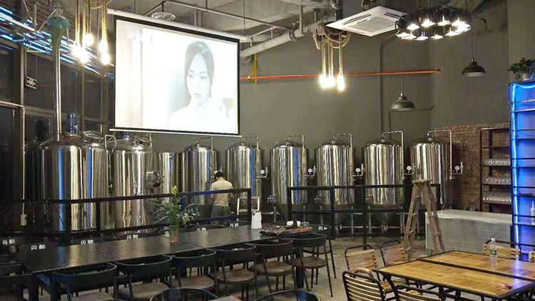 德堡艾爾精釀啤酒