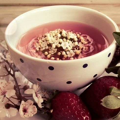 蛋撻小鎮招商代理