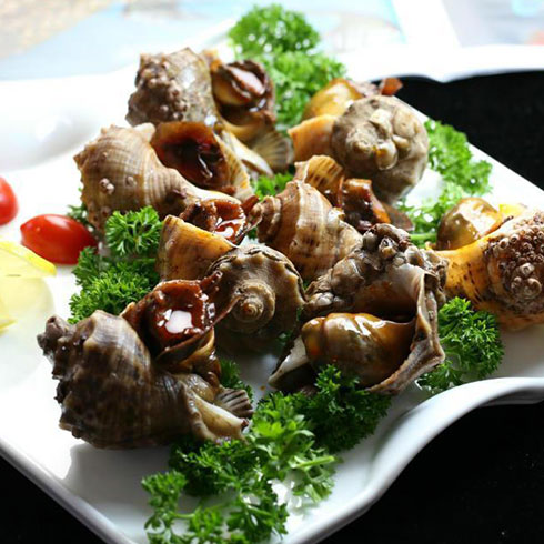 貴妃魷魚產品-海螺