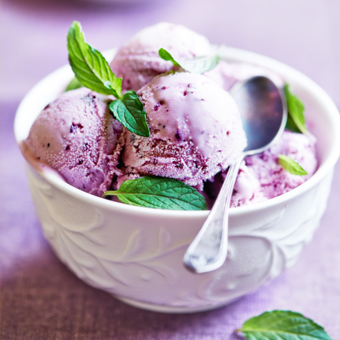 夢(mèng)雪冰城意式冰淇淋-硬冰