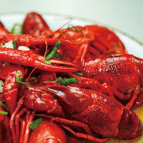 鱻魚石養生火鍋-嘴饞蒜香小龍蝦