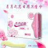 月月之戀衛生巾-日用型衛生巾