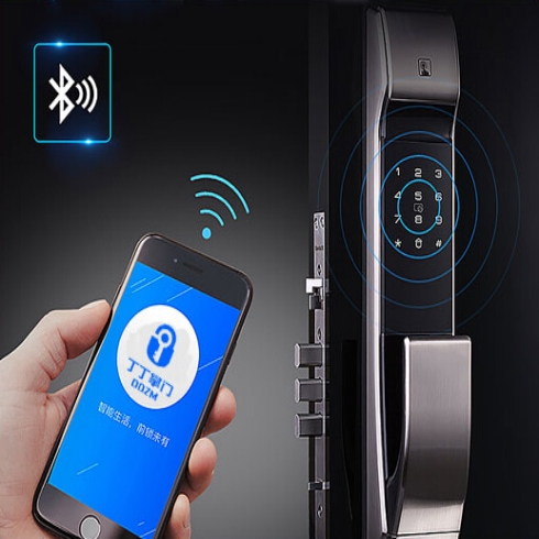 丁丁掌門(mén)-圣甲系列