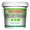 特力森防水涂料-水玲瓏強滲修復型