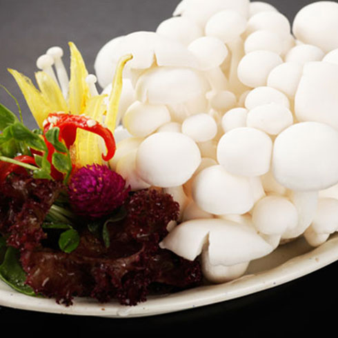 碩瑞達旋轉火鍋-白玉菇