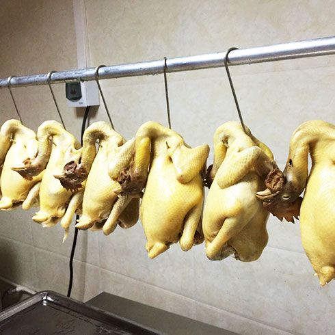 金合眾手撕鹽焗土雞-生態土剦雞