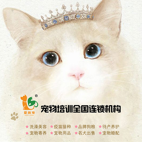 愛尚寵寵物店-寵物培訓機構